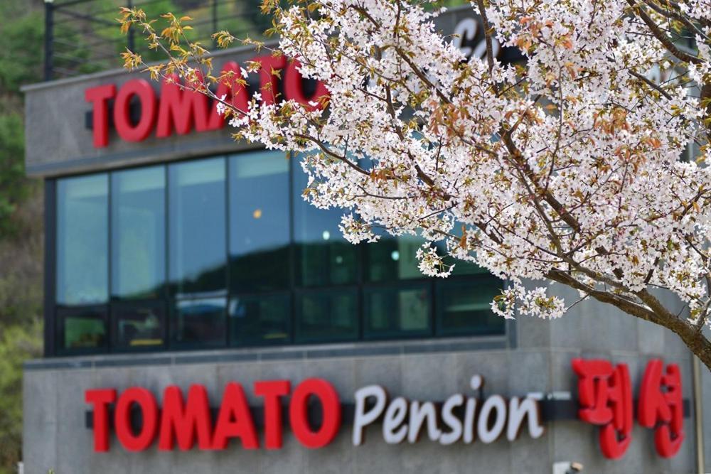 Hwacheon Tomato Pension Екстериор снимка